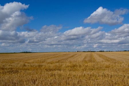 Savoir composer avec la grande horizontale
